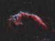 NGC 6992: una Velo, "al volo"