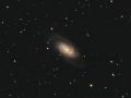 Galassia NGC2903