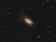 Galassia NGC2903