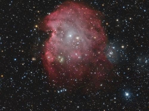 NGC 2174/5 Monkey Head Nebula