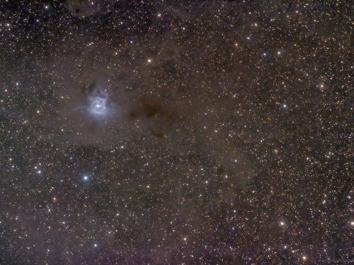 NGC7023 e dintorni