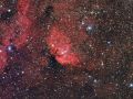 Nebulosa Tulipano