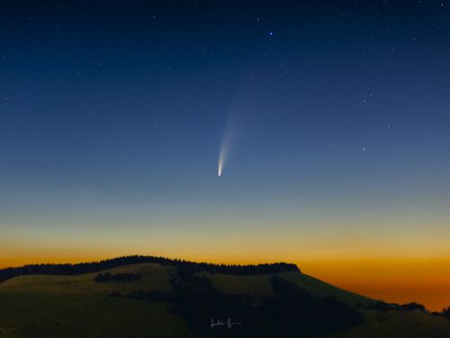 Una cometa che parla