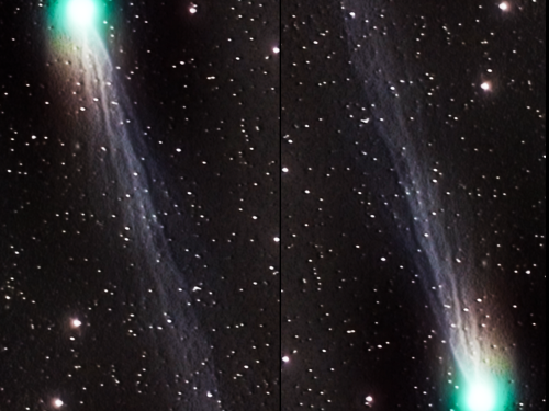 Cometa 12P/Pons rook
