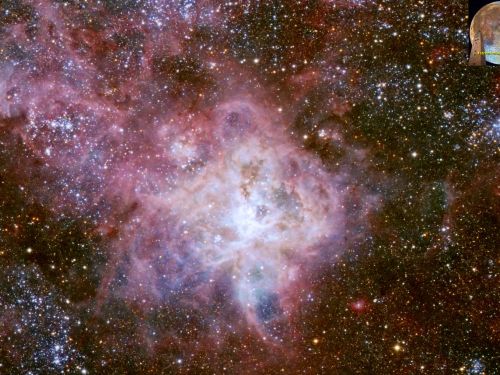 NGC 2070 Nebulosa Tarantola