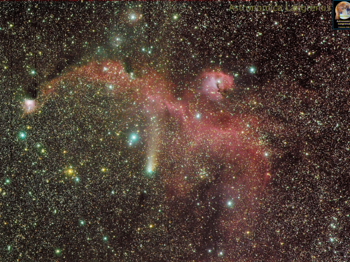 Cometa 21P/Giacobini Zinner e la Nebulosa Gabbiano