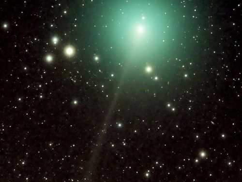 Cometa 46P/Wirtanen il 10/11/2018 e la sua coda
