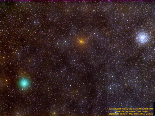 Cometa C/2018 Y1 Iwamoto e M37-NGC2099
