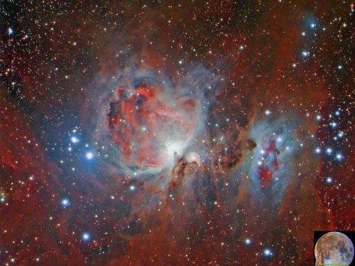 M42 Nebulosa di Orione
