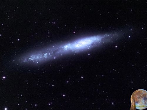 Galassia NGC 55