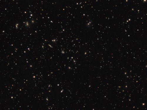 Hercules Galaxy Cluster (Abell 2151)