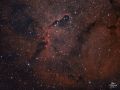 Nebulosa Proboscide di Elefante IC 1396