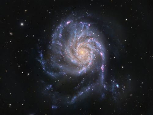 M101 Pinwheel