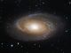 M81 Bode's galaxy