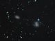 NGC2486/87 galassie