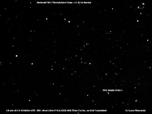 Asteroide (81)Terpsichore