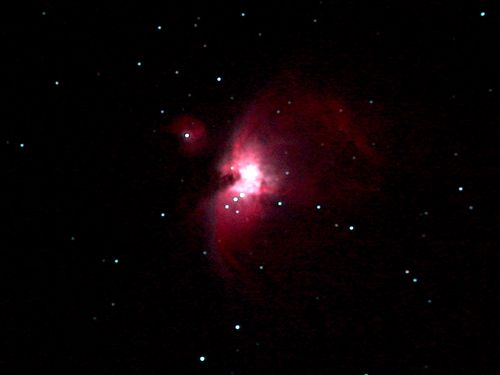 M42 M43 Primizie di stagione …. invernale