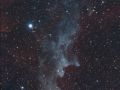 IC2118 o NGC1909, Nebulosa Testa di Strega.