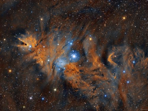 Nebulosa Cono, Nebulosa Pelliccia di Volpe, NGC2264