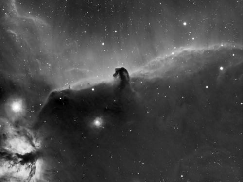 Nebulosa Testa di Cavallo H-Alpha
