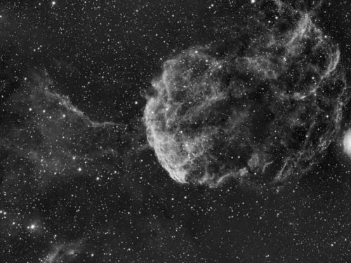 IC443 – Jellyfish Nebula
