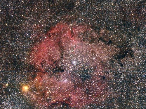 IC 1396 in Cefeo