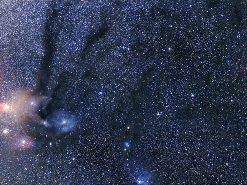 Campo nebulare attorno a Rho Ofiuco