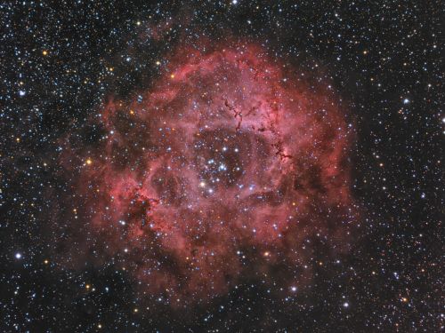 NGC2244 rosetta
