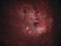 tadpoles nebula