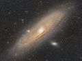 Galassia Andromeda (M31)