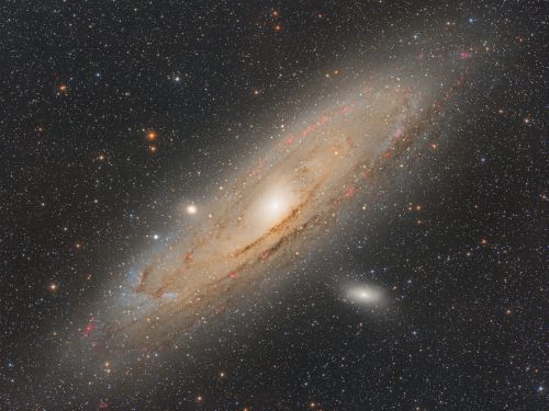 Galassia Andromeda (M31)