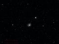 M 99 (altrimenti conosciuta come NGC 4254)