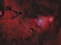 Nebulosa Cono e ammasso Albero di Natale