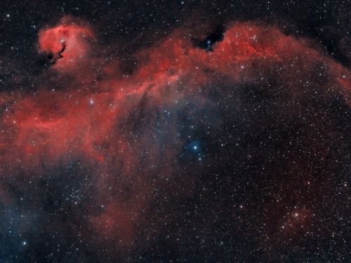 Gum 2 – Nebulosa Gabbiano