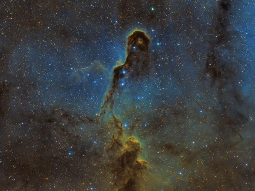 Nebulosa Proboscide di Elefante – vdB 142