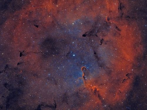 Complesso Nebulare IC 1396
