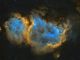 Nebulosa Anima in Hubble palette SHO