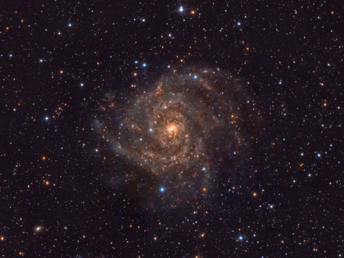 La Galassia Nascosta – IC 342