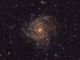 La Galassia Nascosta - IC 342