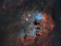 Nebulosa Girini (IC 410)