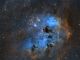 Nebulosa Girini (IC 410) in Hubble palette