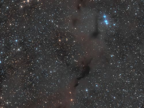 Nebulosa oscura Cavalluccio Marino – LDN 1082 (Barnard 150)