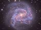 Galassia Girandola del Sud - M83