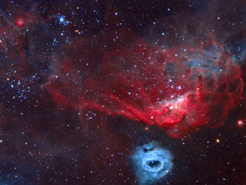 Una Barriera Corallina Cosmica – NGC 2014 e NGC 2020