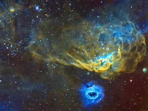Una Barriera Corallina Cosmica – NGC 2014 e NGC 2020