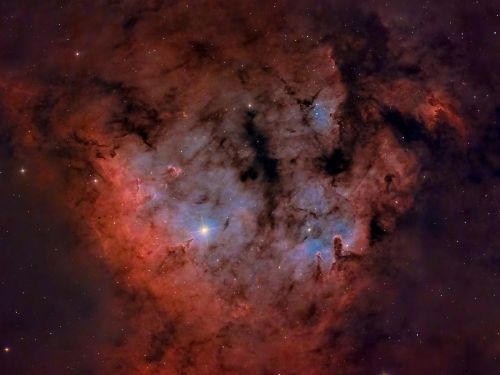 NGC 7822 in Cefeo