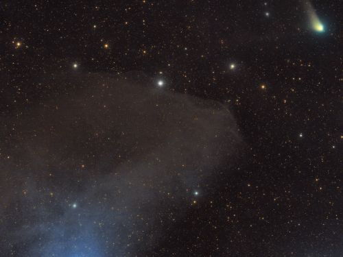 La cometa PanSTARSS incontra la Nebulosa Testa di Cavallo Blu