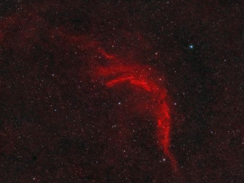 Nebulosa Brontosauro (Sh2-204)