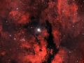 Sadr al centro della nebulosa del Cigno