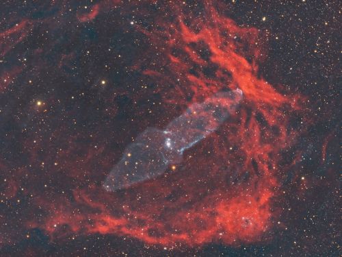 Squid Nebula